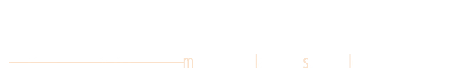 MLSL, metallurgica laminati speciali lecchesi